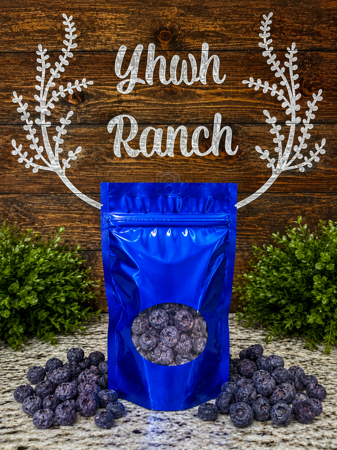 Freeze Dried Blueberries