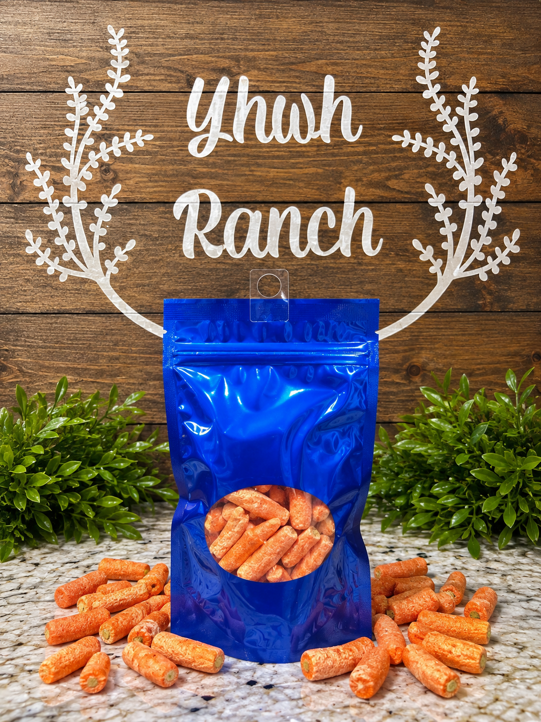 Freeze Dried Carrots