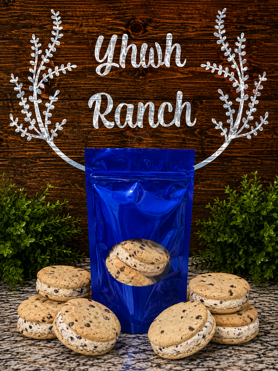 Freeze Dried Chocolate Chip Cookie Ice Cream Sandwich