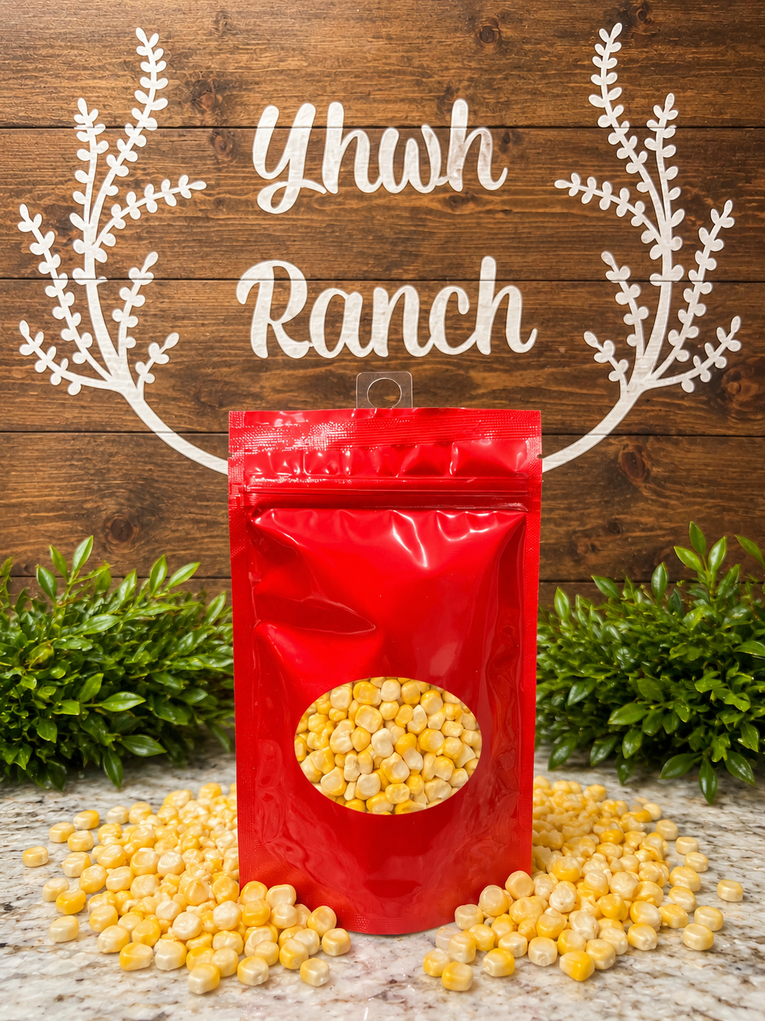 Freeze Dried Sweet Corn