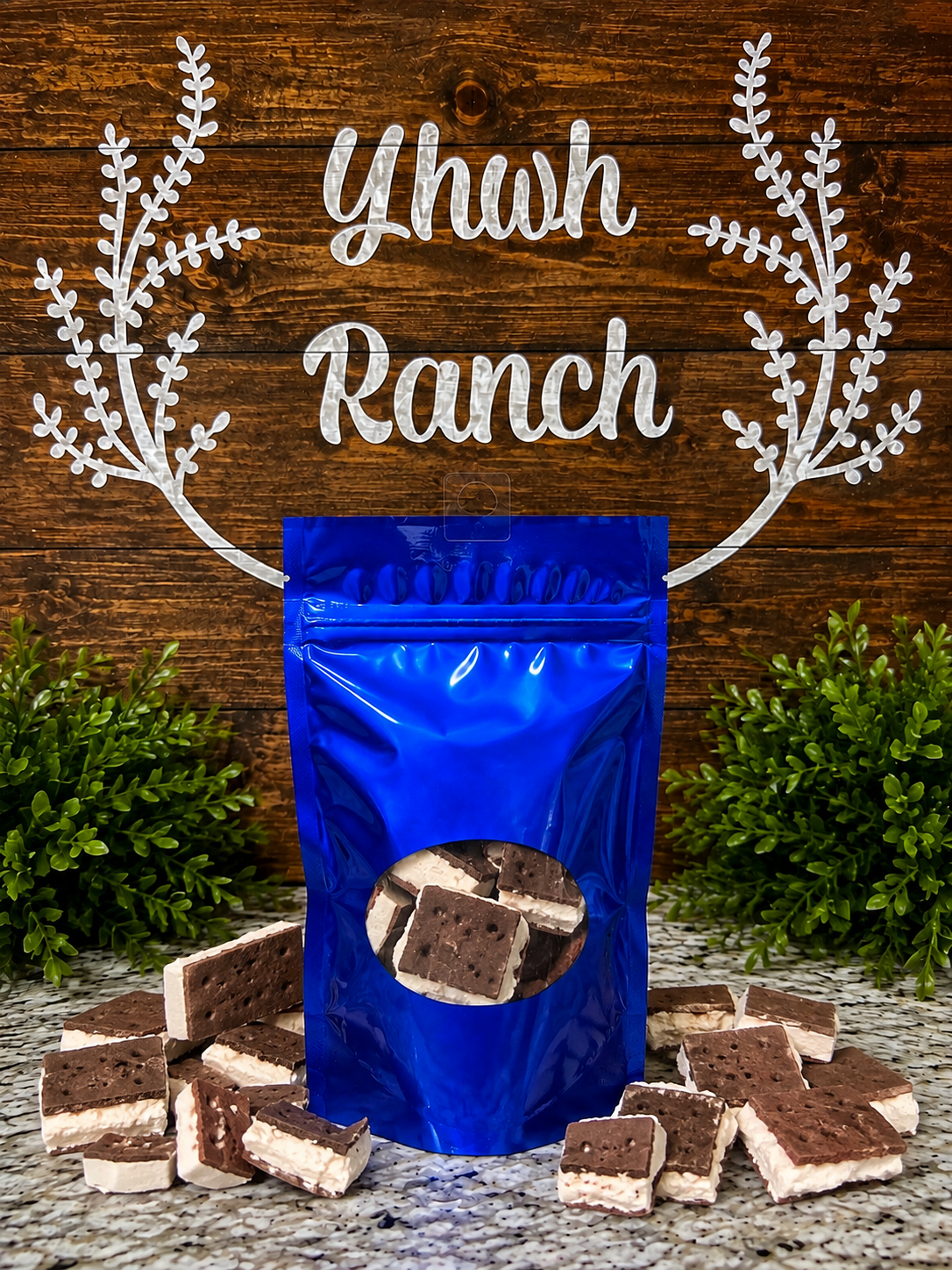 Freeze Dried Ice Cream Sandwiches