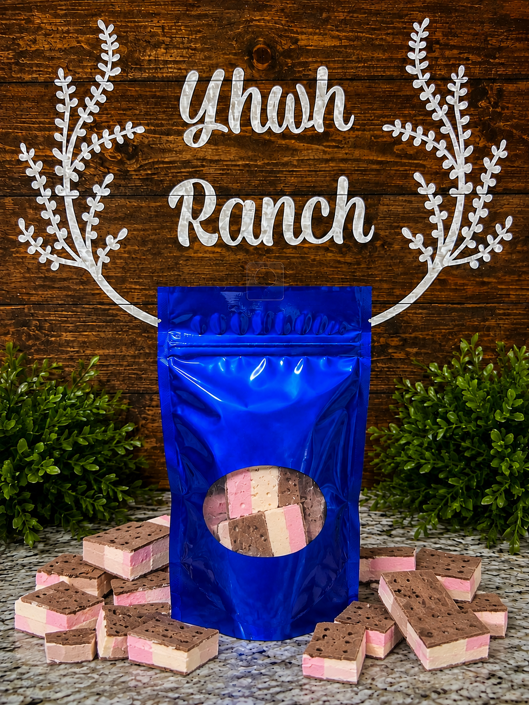 Freeze Dried Neapolitan Ice Cream Sandwiches