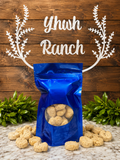 Freeze Dried Sweet Potato Dog Treats